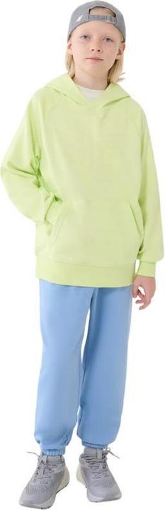 Produktbild 4F Jr. Sweatshirt (152)