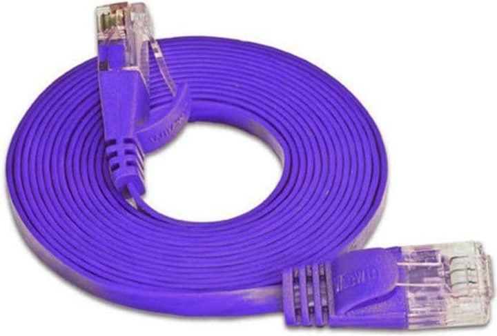 Viola