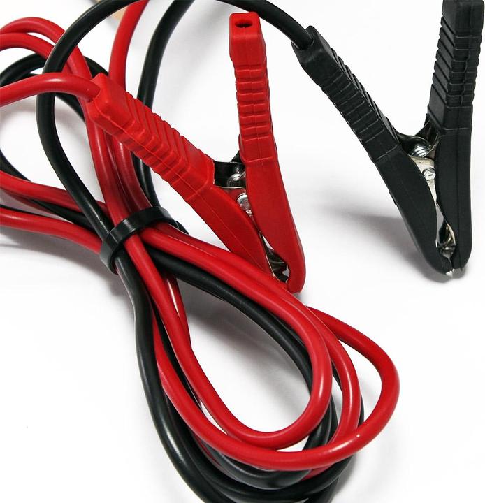Actual product image Wiltec Car Van Battery Charger 12V 24V Portable 16A Boost Motorcycle Motorhome Truck GZL30 (24V, 12V, 16 A)