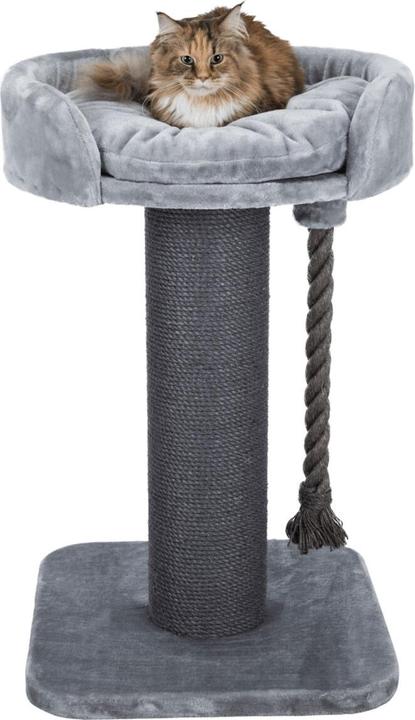 Actual product image Trixie Cat tree XXL Klara, 100 cm, cream (100 cm, Cream)