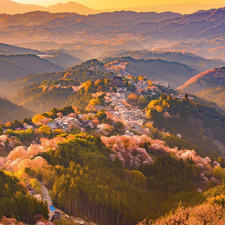 Produktbild Inside Japan 2024