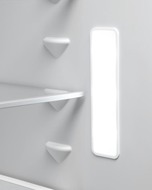 Actual product image Electrolux IK2480BNL (245 l)