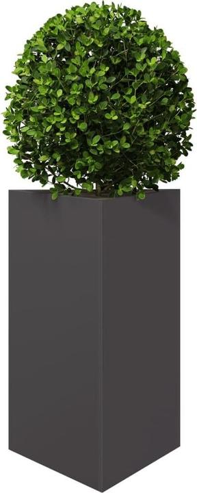 Produktbild vidaXL Pflanzkübel
