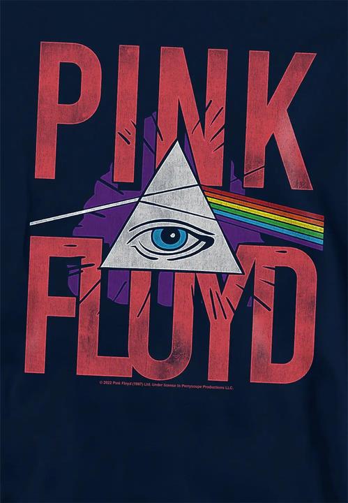 Produktbild Pink Floyd Allseeing Prism Kapuzenpullover Zum Überziehen (128)