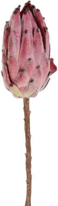 Immagine prodotto Protea rosa 52cm (1)