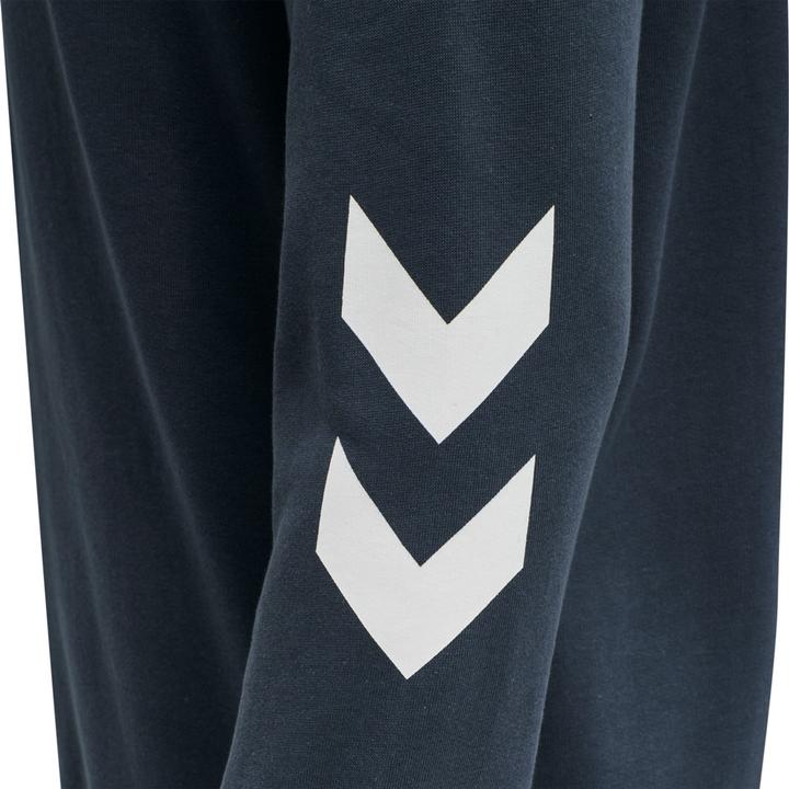 Actual product image hummel Legacy Zip Hoodie (M)