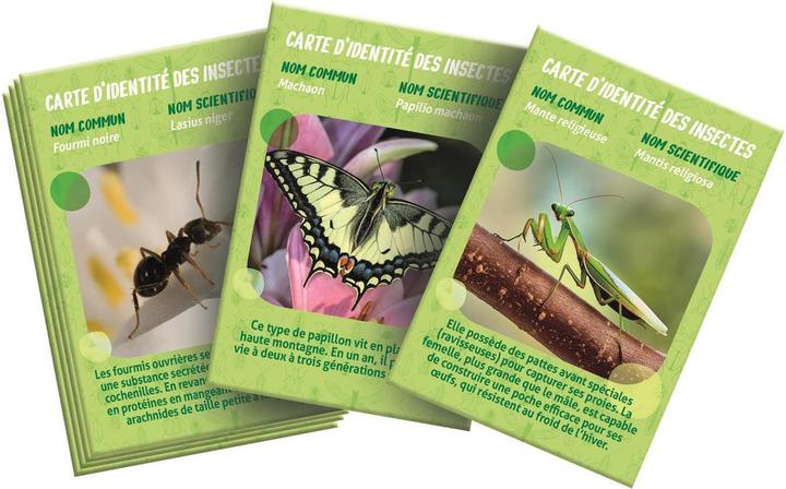 Produktbild Clementoni La Maison des Insectes