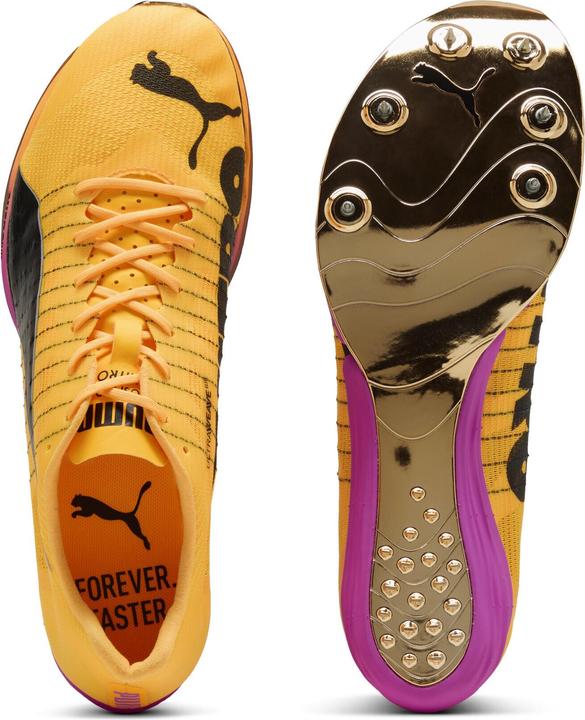 Actual product image Puma evoSPEED Forte NITRO Elite (41)