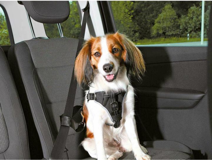 Image du produit Trixie Harnais de protection pour la voiture (Chien)