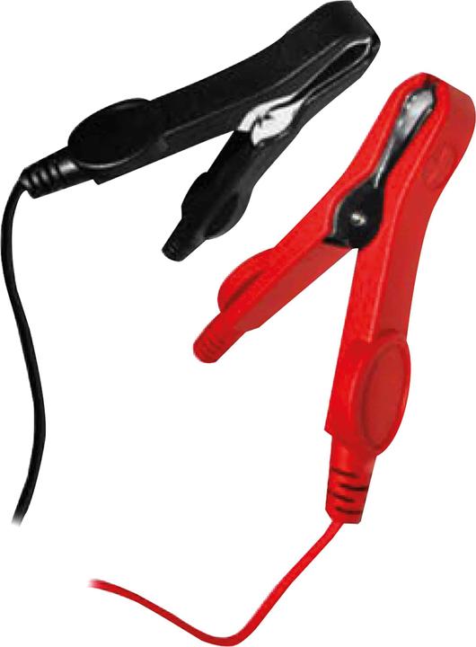 Produktbild ProUser IBC800 18179 Kfz-Ladegerät 6 V, 12 V 0.8 A 0.8 A (12V, 6V, 0.80 A)