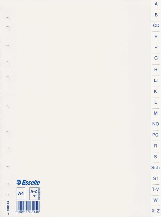 Produktbild Esselte Plastikregister Economy