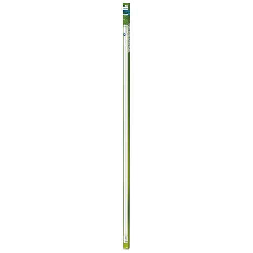 Actual product image Philips Fluorescent tube (G13, 20 W, 3700 lm, 1 x, B)