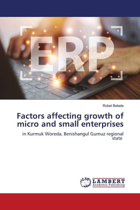 Immagine prodotto Factors affecting growth of micro and small enterprises (Robel Bekele, 2023)