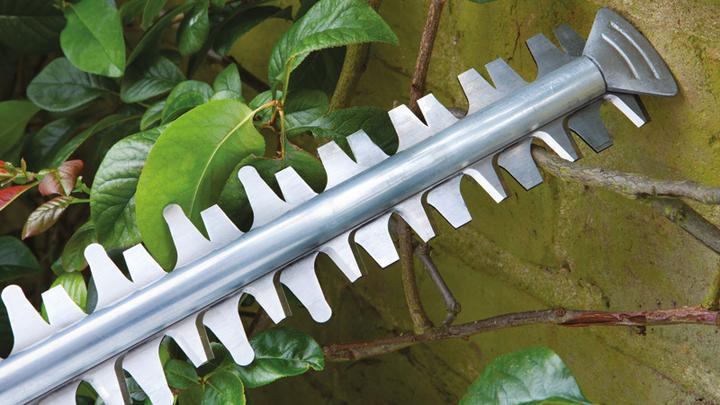 Image du produit Bosch Home & Garden Ahs 50-20 Li (Fonctionnement sur batterie)