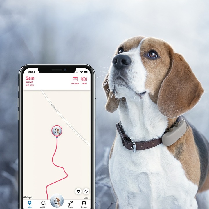 Produktbild Tractive Dog 4 GPS Tracker für Hunde (Hund, Allgemein)