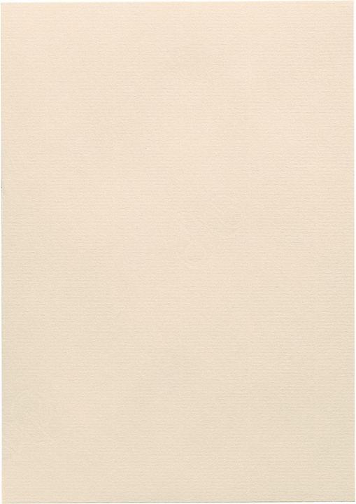 Produktbild Artoz 1001 A4 (220 g/m², 5x)