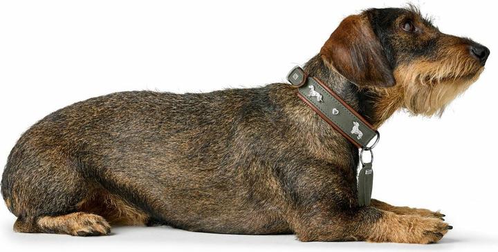 Immagine prodotto Hunter Collare bassotto Monaco 42/S, pelle di vacchetta, verde/cognac (42, Cane, Generale)
