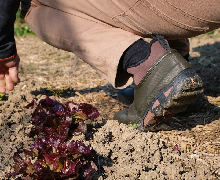 Image du produit Rouchette Clean Land (43)