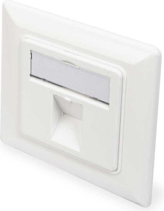 Produktbild Digitus Frontplatte für Keystone Jacks 1x RJ45 Staubschutz 80x80 + Zentralplatte reinweiss seperater Mass..