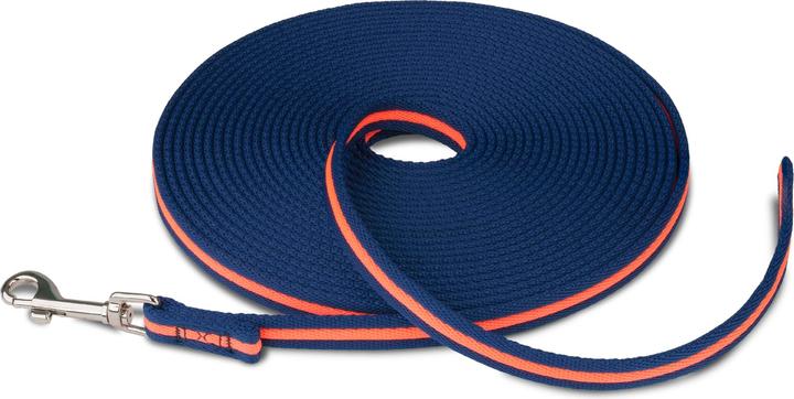 Company of Animals Traino Coachi (10, Cane, Sport cane)