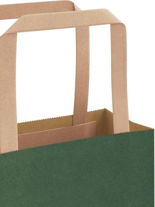 Image du produit vidaXL Sacs en papier kraft 250 pcs. avec anse Vert 21x11x36 cm Sac en papier (250x)