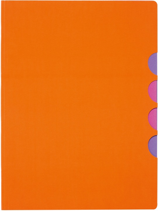 Pagna Ordnungsmappe 5 Fächer (A4, 1 x)