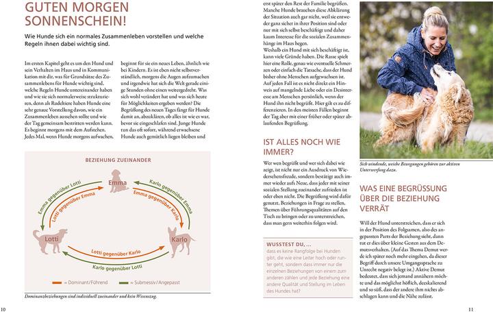 Actual product image Kosmos Hunde lesen lernen (German, Maren Grote, 2022)