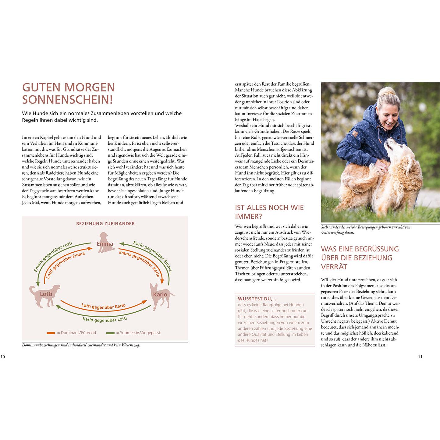 Thumbnail - Hunde lesen lernen, Ratgeber von Maren Grote