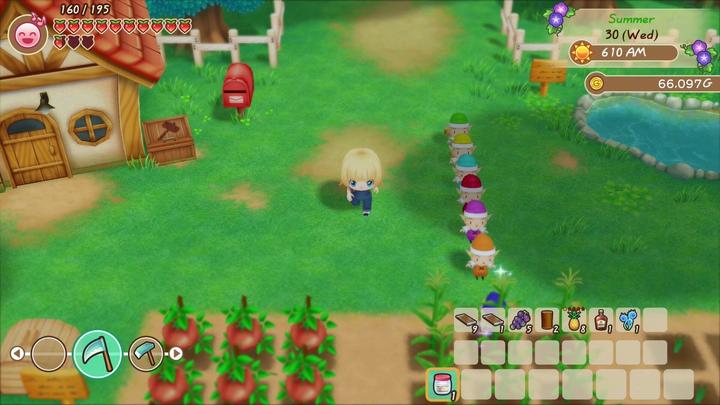 Actual product image Marvelous Story of Seasons: Friends of Mineral Town (Switch, DE)