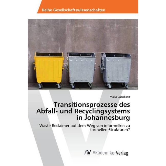 Transitionsprozesse des Abfall- und Recyclingsystems in Johannesburg, Fachbücher