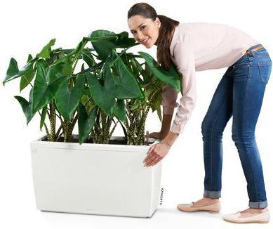 Produktbild Lechuza Cararo (30 cm)