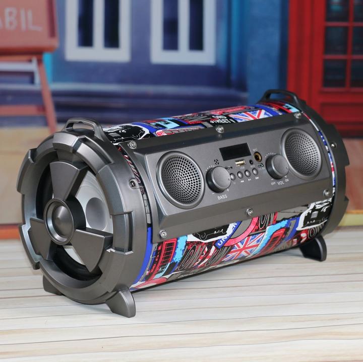 Actual product image Platinet OG72P Portable Speaker