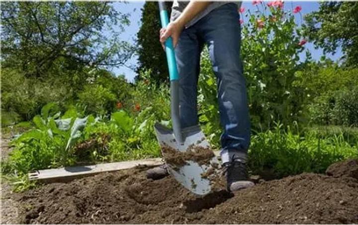 Actual product image Gardena ClassicLine ostry 17051-20