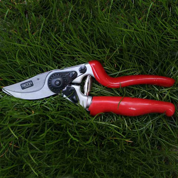 Actual product image Siena Garden Pruning shears with rolling handle