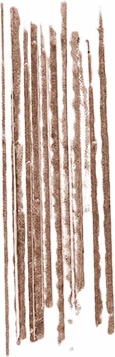 Image du produit Bobbi Brown Micro Brow Pencil (Brun miel)