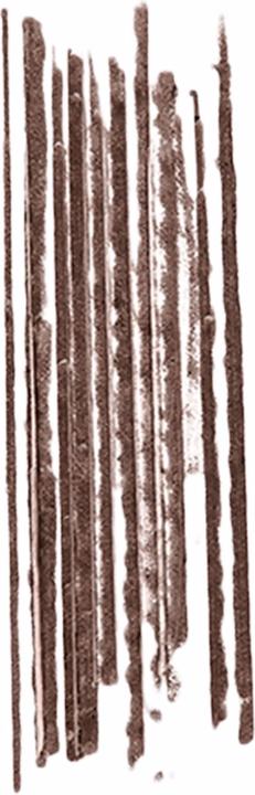 Actual product image Bobbi Brown Micro Brow Pencil (Rich Brown)