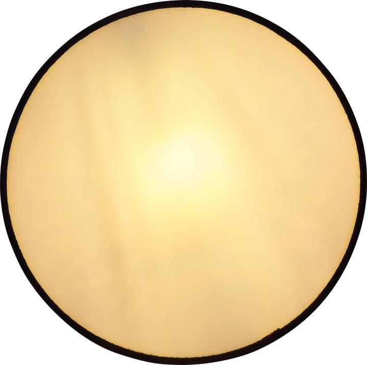 Produktbild Globo Deckenleuchte Sunna schwarz 1xE27 LED (E27)
