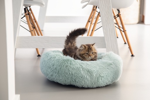 Actual product image Beeztees Kitten plush cat bed Vako (Cat)