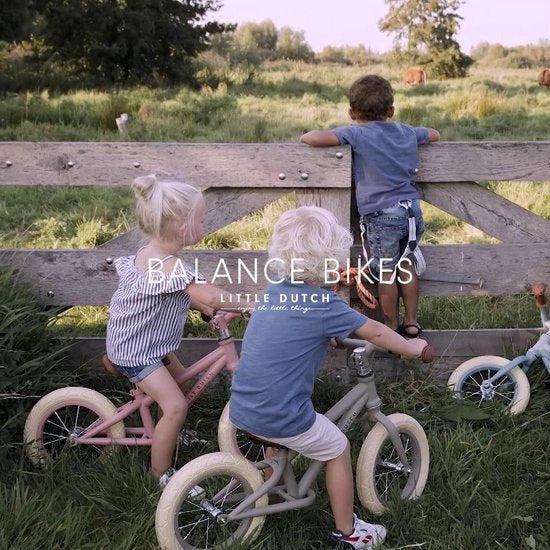 Produktbild Little Dutch Loopfiets (12")