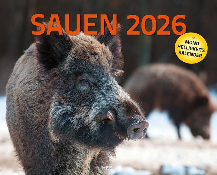 Produktbild Sauen Kalender 2026 Jagd-Kalender im XX (Deutsch)