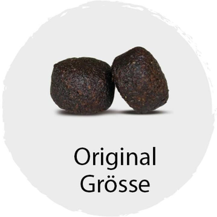 Image du produit Kyli Dinde fraîche et moelleuse Mini (Adulte, 1 pcs, 1500 g)