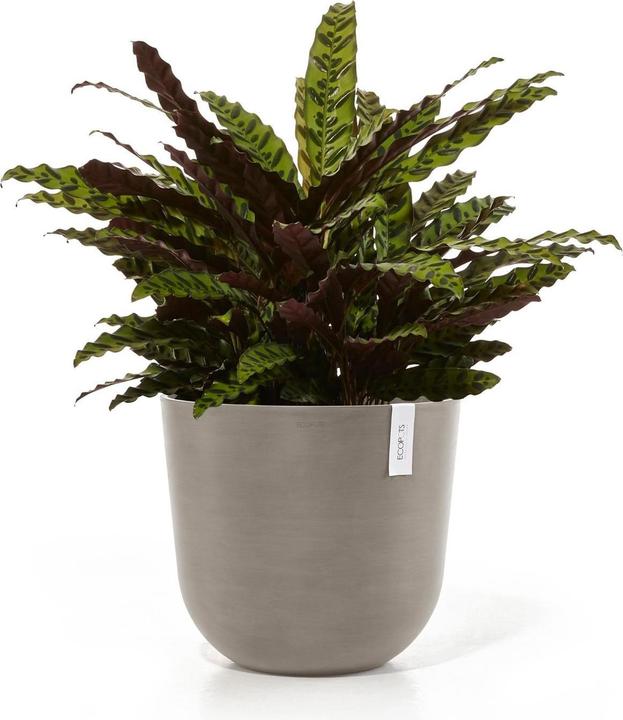 Actual product image Ecopots Oslo (45.50 cm)