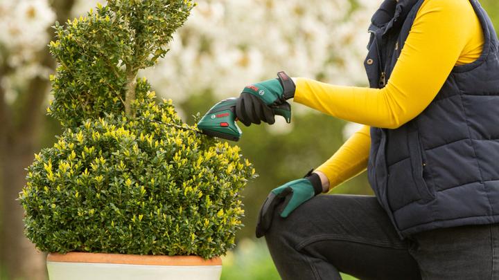 Actual product image Bosch Home & Garden Isio (Rechargeable battery operated)