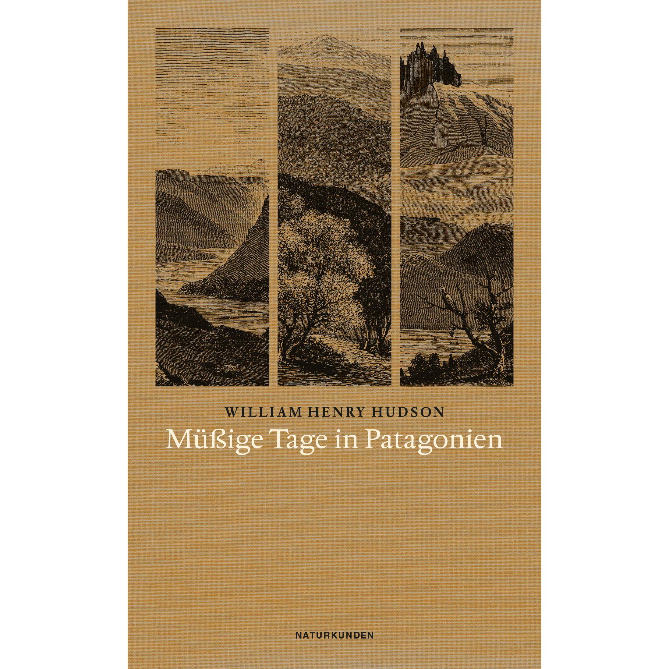 Müssige Tage in Patagonien, Belletristik von William H. Hudson