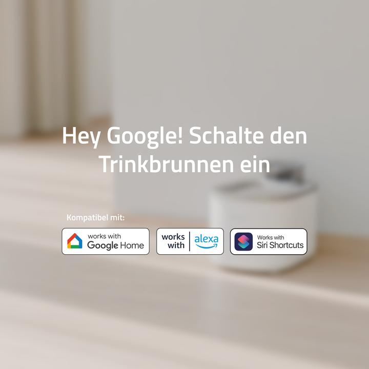 Actual product image Hombli Water Fountain (350 cl)