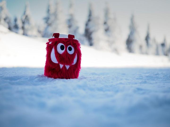 Actual product image Crafty Climbing Tangerine Foodie Monster Chalk Bag