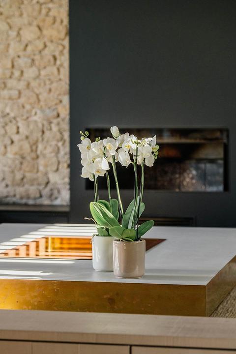 Produktbild Herstera Frost