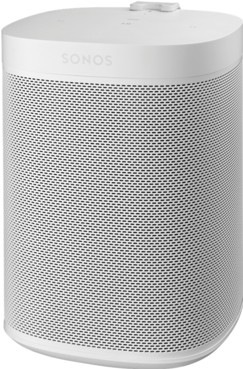 Actual product image Cavus Sonos One (1 pcs., Wall installation, Tiltable)