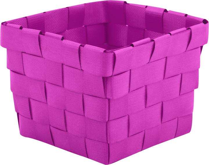 Fuchsia