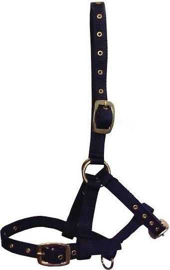 Image du produit Hy Health Hy Licol pour poulain